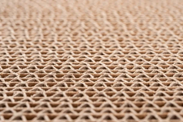 Cross Section Cardboard Corrugated Pattern Baskground Texture Horizontal Selective Focus — Stock Photo, Image