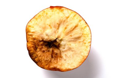 beyaz arka plan üzerinde üst görünüm olgunelma bölümü