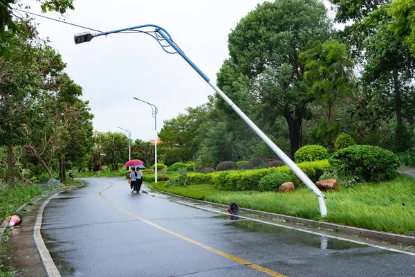 broken lamp and trees on the road after a strong storm went through