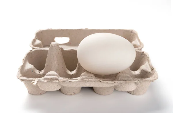 Size Goose Egg Case — Stock Photo, Image