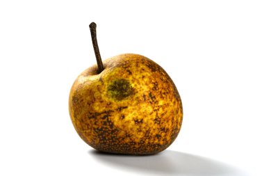 beyaz arka planda olgunlaşmış armut