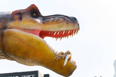 Zhongshan Çin-Temmuz 17,2019:açık havada dev bir boyut tyrannosaurus başkanı.