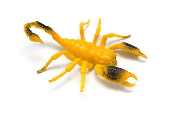 Dummy Scorpion Model Een Witte Achtergrond — Stockfoto