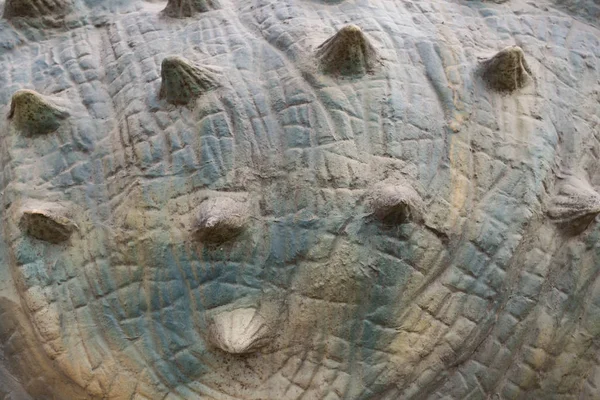 Ciało Dinozaurów Jako Tło Tekstura — Zdjęcie stockowe