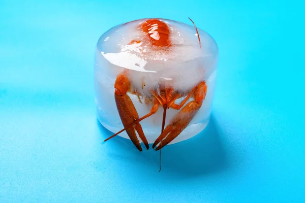 Cubo Gelo Com Camarão Congelado Fundo Azul — Fotografia de Stock