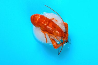 Üst görünüm dondurulmuş karides çözülme sürecinde