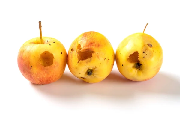 Manzanas Podridas Mordidas Por Insectos Sobre Fondo Blanco —  Fotos de Stock