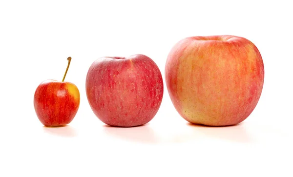 Manzanas Pequeñas Medianas Gran Tamaño Sobre Fondo Blanco —  Fotos de Stock