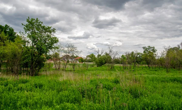 Paisaje Verano Pradera Cielo Ante Lluvia Junto Río — Foto de Stock