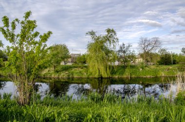 Yaz manzarası. Nehir kenarındaki yağmur öncesi çayır ve gökyüzü.