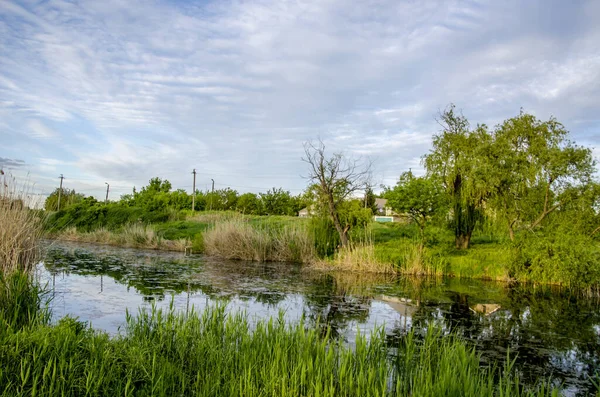 Paisaje Verano Pradera Cielo Ante Lluvia Junto Río — Foto de Stock