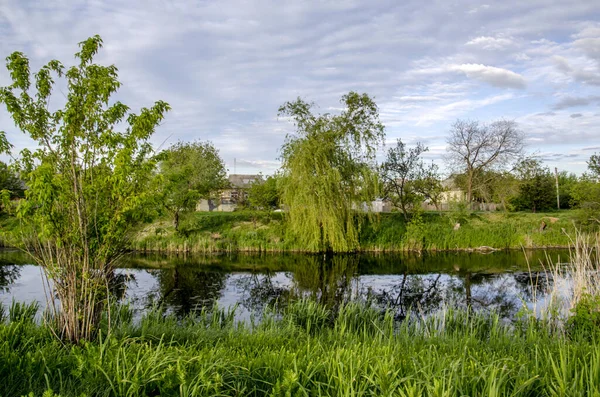 Paisaje Verano Pradera Cielo Ante Lluvia Junto Río — Foto de Stock