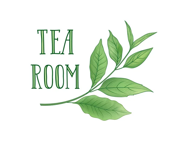 Green Tea Tree Branch Herb Label Lettering Tea Room — Stock Vector