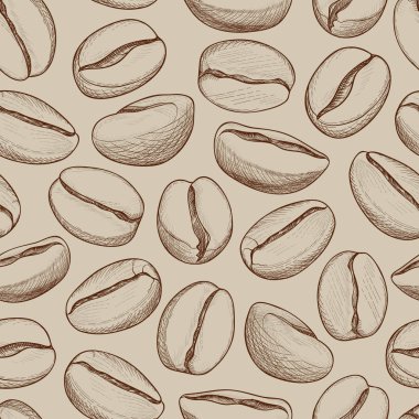 Kahve dikişsiz desen. Kahve çekirdekleri elle çizilmiş çizim. Sıcak dri