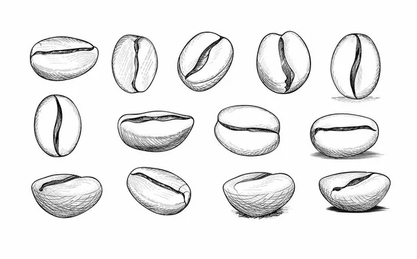 Set de iconos de grano de café. Dibujado a mano garabato esbozo vector símbolo de — Archivo Imágenes Vectoriales