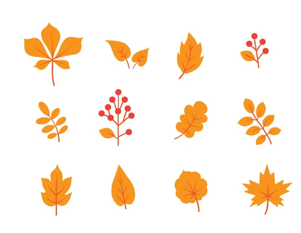 Autumn leaves set. Fall leaf and berries icons. Floral nature symbols over white background. — Stock Vector