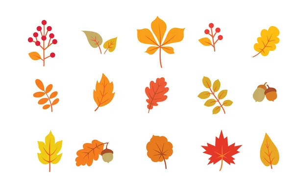 Herfst bladeren set. Vallen blad natuur iconen over witte achtergrond. — Stockvector