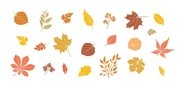 Autumn leaves set. Fall leaf floral icons over white background. Nature symbol collection — Stock Vector