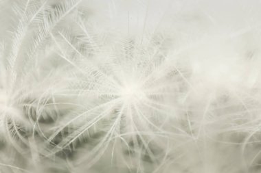 Güzel doğal arka plan, yün arka plan deseni, arka plan