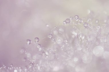 Güzel doğal arka plan, su açılan arka plan deseni, arka plan