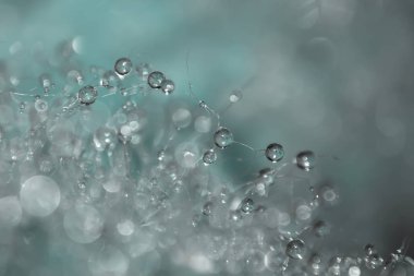 Güzel doğal arka plan, su açılan arka plan deseni, arka plan