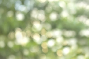 Güzel doğa ışık bokeh arka plan soyut