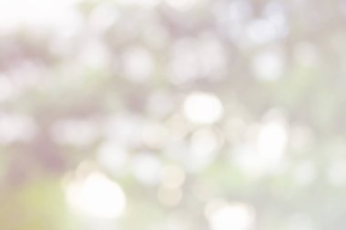 Güzel yumuşak ve bulanıklık bokeh arka plan soyut ışık