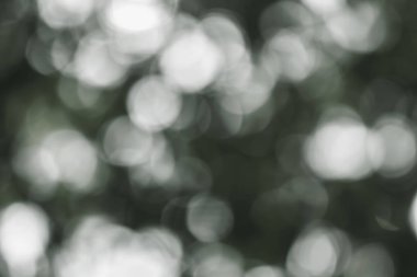 Güzel yumuşak ve bulanıklık bokeh arka plan soyut ışık