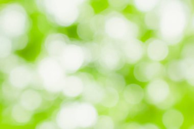 Güzel yumuşak ve bulanıklık bokeh arka plan soyut ışık