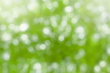 Güzel yumuşak ve bulanıklık bokeh arka plan soyut ışık