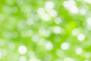Yeşil görüntü arka plan soyut, doğa ışık bokeh arka plan