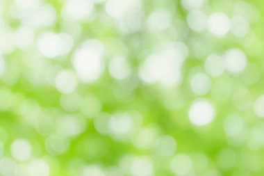 Yeşil görüntü arka plan soyut, doğa ışık bokeh arka plan