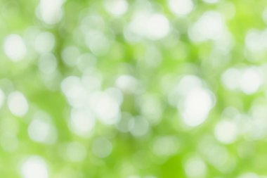 Yeşil görüntü arka plan soyut, doğa ışık bokeh arka plan