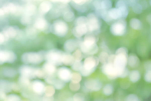 The beautiful nature light bokeh background abstract