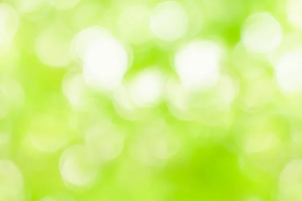 Verde Borrão Fundo Abstrato Natureza Luz Bokeh Fundo — Fotografia de Stock