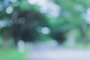 doğada bulanık ağaç ve yol, bulanık doğa soyut arka plan