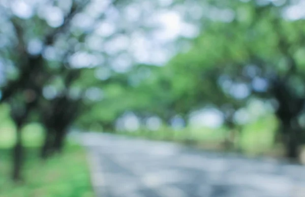 picture Blur Nature Road Image Photo Editing Background the blurred tree and road in nature