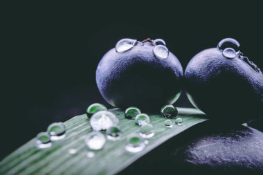 Yaban mersini yaban mersini yaprak yeşil ile sağlıklı bir yiyecek siyah ya da beyaz arka planda vardır.