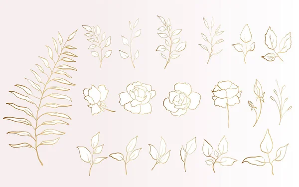 Ensemble Éléments Floraux Dorés Fleur Feuilles Dispositions Vectorielles Pour Conception — Image vectorielle