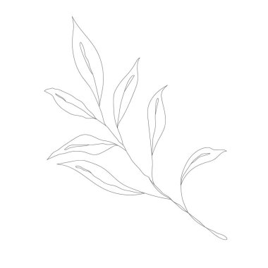 Minimalizm çizimi. Çiçek vektör bir çizgi sanatı. Botanik Taslak Vektör Çizimi. Doğa vektörü çizimi.