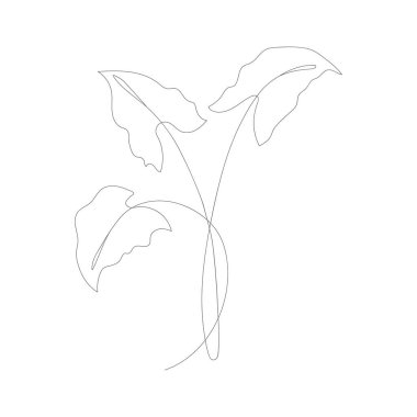 Minimalizm çizimi. Çiçek vektör bir çizgi sanatı. Botanik Taslak Vektör Çizimi. Doğa vektörü çizimi.
