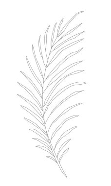 Minimalizm çizimi. Çiçek vektör bir çizgi sanatı. Botanik Taslak Vektör Çizimi. Doğa vektörü çizimi.