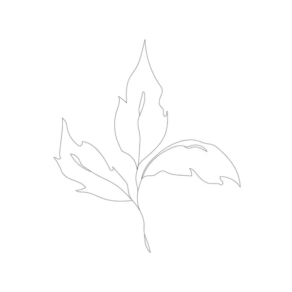 Σχεδίαση Γραμμής Μινιμαλισμού Λουλούδι Διάνυσμα Μία Γραμμή Τέχνης Βοτανικό Σκίτσο — Διανυσματικό Αρχείο