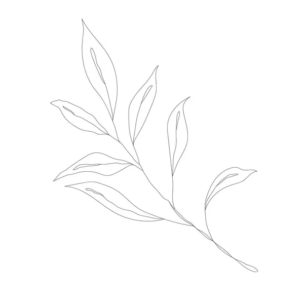 Minimalistische Linienzeichnung Blumenvektor Eine Zeile Kunst Botanical Sketch Vector Illustration — Stockvektor