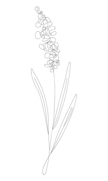 Desenho Linha Minimalista Flor Vetor Uma Linha Arte Esboço Botânico — Vetor de Stock