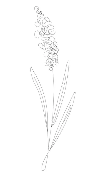 미니멀리즘의 선그리기 Flower Vector Line Art Botanical Sketch Vector Illustration — 스톡 벡터