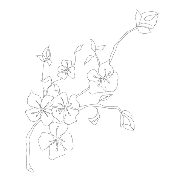 Minimalismo Línea Dibujo Flor Vector Una Línea Arte Botanical Sketch — Vector de stock