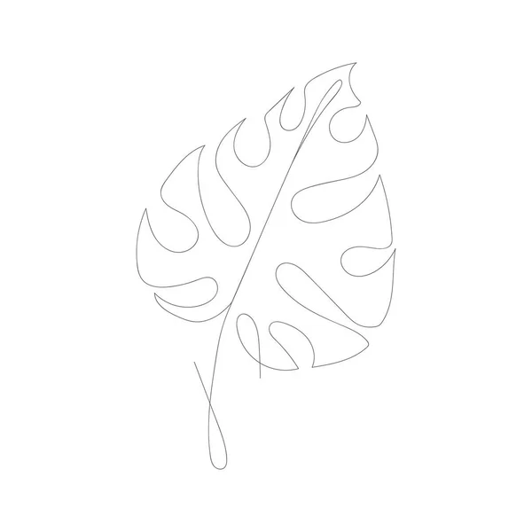 Minimalismo Línea Dibujo Flor Vector Una Línea Arte Botanical Sketch — Vector de stock