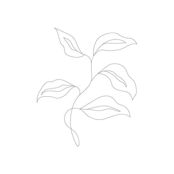 미니멀리즘의 선그리기 Flower Vector Line Art Botanical Sketch Vector Illustration — 스톡 벡터