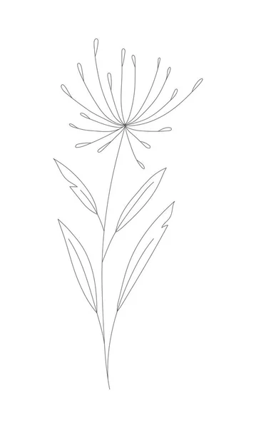 Minimalisme Gambar Garis Bunga Vektor Satu Baris Seni Botani Sketch - Stok Vektor
